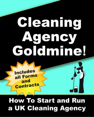 Start Cleaning Agency